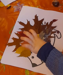 Image d'une animation